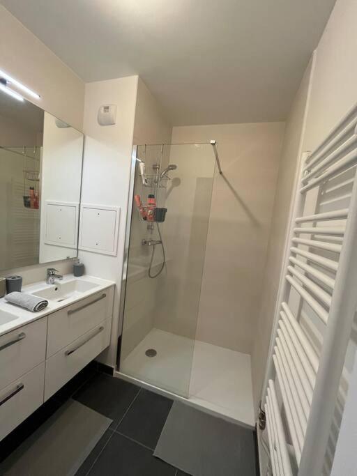 אלפורטוויל Magnifique Appartement Sur La Seine מראה חיצוני תמונה